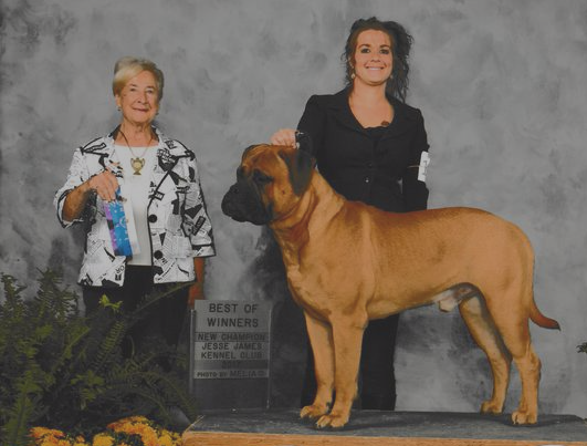 lonely creek bullmastiff